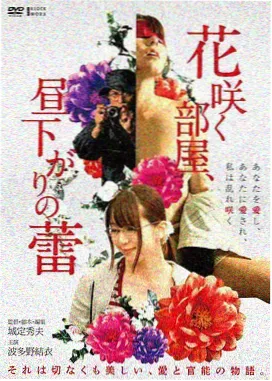 久久精彩视频剧情电影雾港来信封面